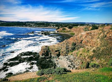 chile/pichilemu/attraction/punta-de-lobos