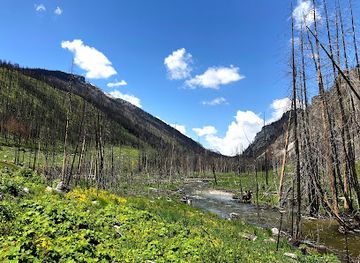 montana/bitterroot-national-forest/attraction/ward-mountain-trailhead