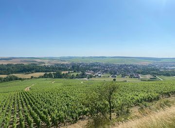 france/burgundy-vineyards/attraction/cite-des-climats-et-vins-de-bourgogne