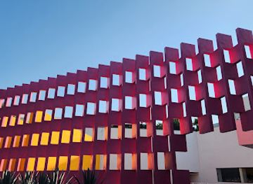 mexico/mexico-city/attraction/the-pink-wall