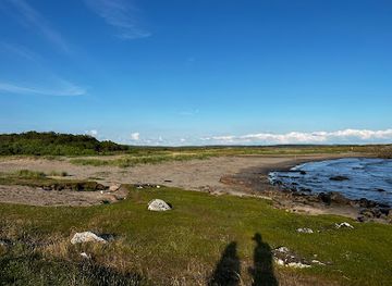 sweden/halland/attraction/grimsholmens-naturreservat