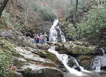 tennessee/cades-cove/attraction/spruce-flats-falls