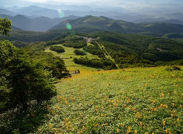 japan/nikko/attraction/nikko-kirifuri-kogen-kisuge-plains