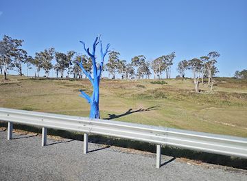 australia/tasmania/attraction/blue-tree
