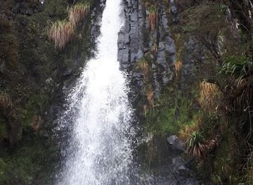 ecuador/papallacta-hot-springs/attraction/milagrosa-waterfall