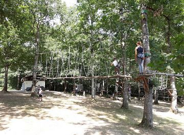 france/aquitaine/attraction/le-lac-aux-branches