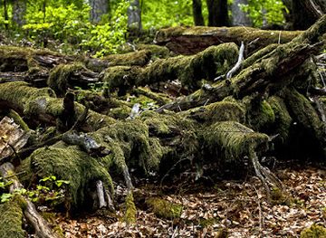germany/sauerland/attraction/reinscheid