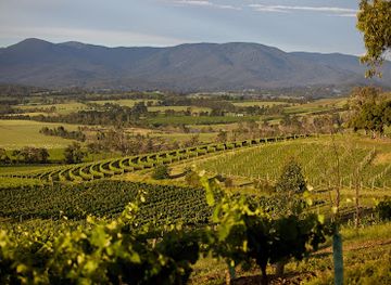 australia/yarra-valley/attraction/yarra-yering