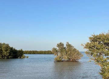 qatar/al-wakra-beach/attraction/mangroves-park-al-wakrah