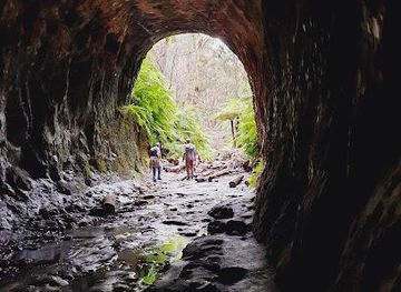 australia/blue-mountains-national-park/attraction/glow-worm-tunnel-walking-track