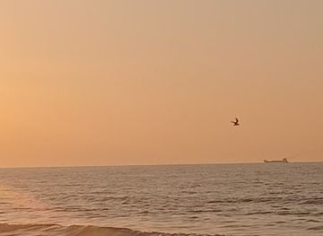 united-arab-emirates/ajman/attraction/naqat-sayd-al-maghamer