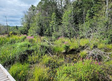 wisconsin/madeline-island/attraction/salmo-lake-walk-trail