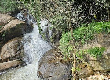 india/south-india/attraction/laws-falls