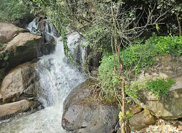 Laws Falls