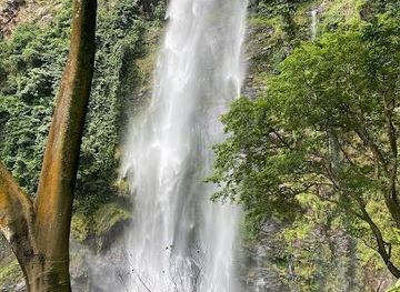 togo/kpalime/attraction/visit-wli-waterfalls