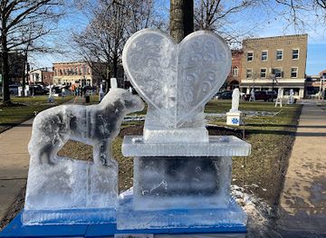 ohio/southwest-ohio/attraction/medina-ice-festival