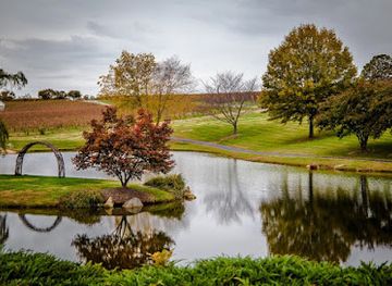 north-carolina/high-country/attraction/shelton-vineyards