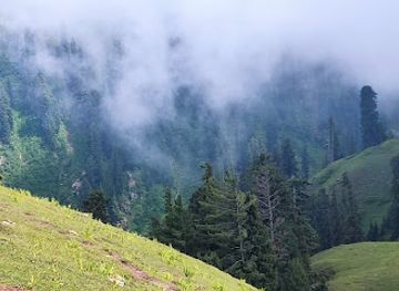 pakistan/kaghan/attraction/mountains-forest