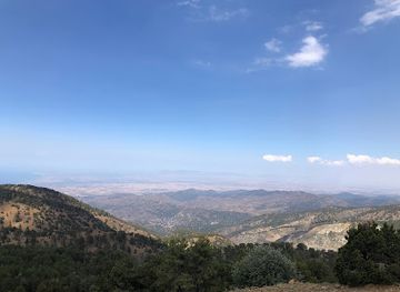 cyprus/troodos/attraction/500-years-old-pine