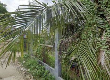 philippines/cebu/attraction/wano-kingdom