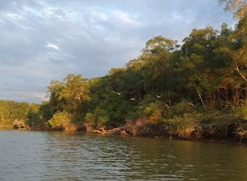ecuador/santa-elena-region/attraction/reserva-ecologica-manglar-churute