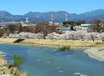 japan/kai/attraction/shingenzutsumi-park