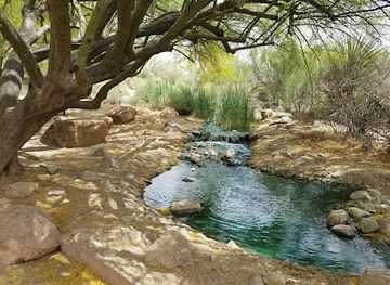 Riparian Preserve at Water Ranch