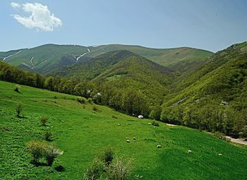 armenia/shikahogh-state-reserve/attraction/vaighan-cave