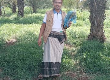 djibouti/goda-mountains/attraction/bosquet