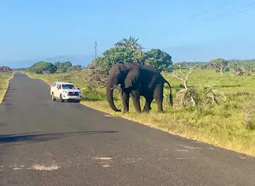 iSimangaliso wetland park