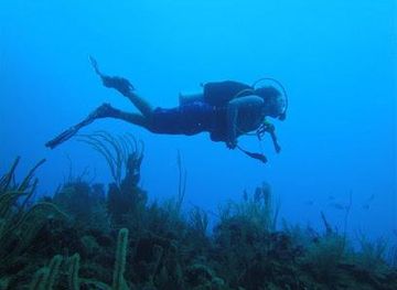 puerto-rico/fajardo/attraction/ocean-sports