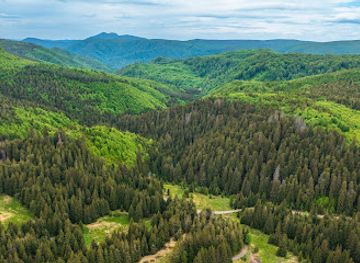 romania/maramures/attraction/poiana-lui-dumitru