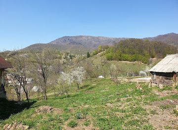 romania/maramures/attraction/rezervatia-fosilifera-chiuzbaia