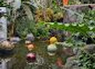 nebraska/columbus/attraction/conservatory-building