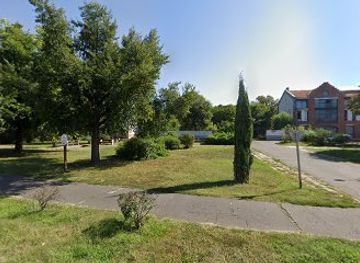 hungary/debrecen/attraction/hosok-emlekfaja-ultette-a-htbk-dsz-kozossege