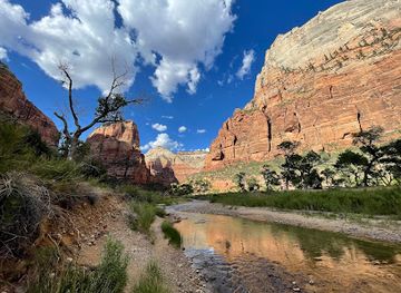 utah/zion-national-park/attraction/walter-s-wiggles