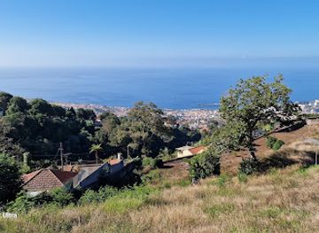 portugal/madeira/attraction/carreiros-do-monte-descida-carro-de-cestos