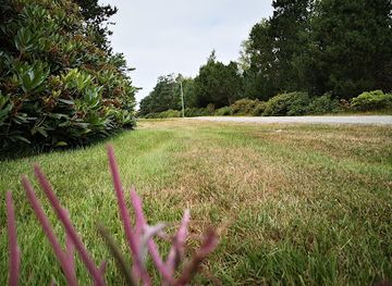 denmark/laso/attraction/rhododendronstien