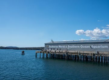 australia/tasmanian-wilderness/attraction/seahorse-world