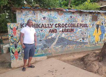 the-gambia/serekunda/attraction/crocodile-pool