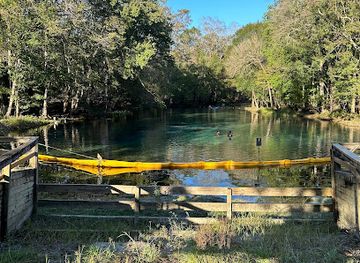florida/juniper-springs-recreation-area/attraction/ruth-b-kirby-gilchrist-blue-springs-state-park