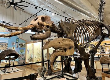 south-dakota/pine-ridge/attraction/world-fossil-finder-museum