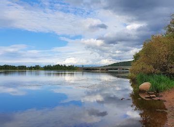 finland/rovaniemi/attraction/arktikum-arboretum