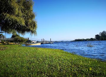 chile/los-rios-region/attraction/playa-collico