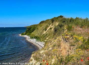 denmark/the-north-sea-islands/attraction/bjorno