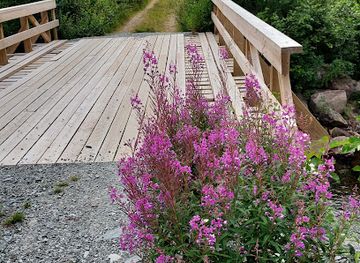 sweden/vemdalen/attraction/vastsatern