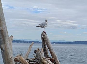 washington/kirkland/attraction/fay-bainbridge-park