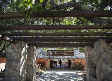 south-africa/kruger-national-park/attraction/hoedspruit-endangered-species-centre