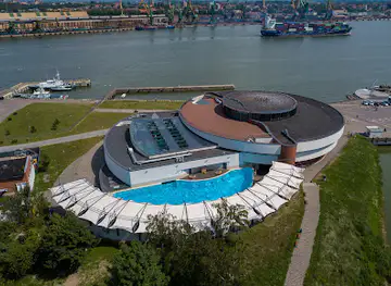 The Dolphinarium
