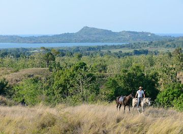 madagascar/nosy-be/attraction/ambaro-ranch